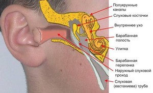 Дисфункция слуховой трубы