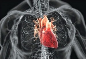 Заболевание сердечно-сосудистой системы