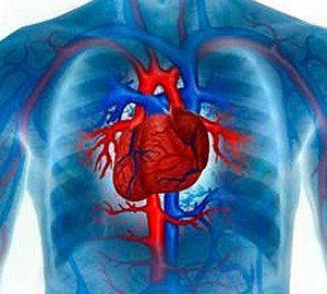 Заболевания сердечно-сосудистой cистемы
