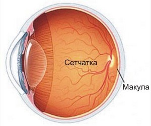 Периферические нарушения глаз